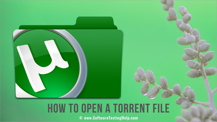 mac open torrent